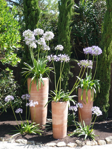 décoration pour jardin bassin d'arcachon